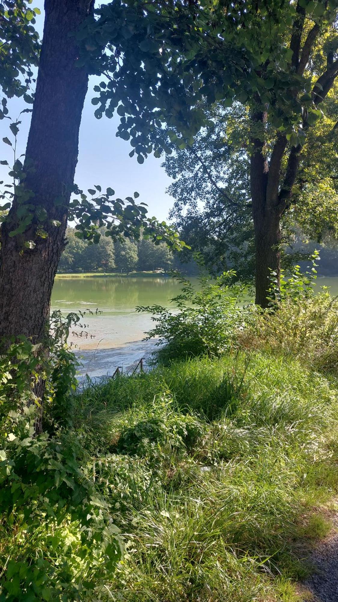 Domki Nad Jeziorem Karlowice Exterior foto